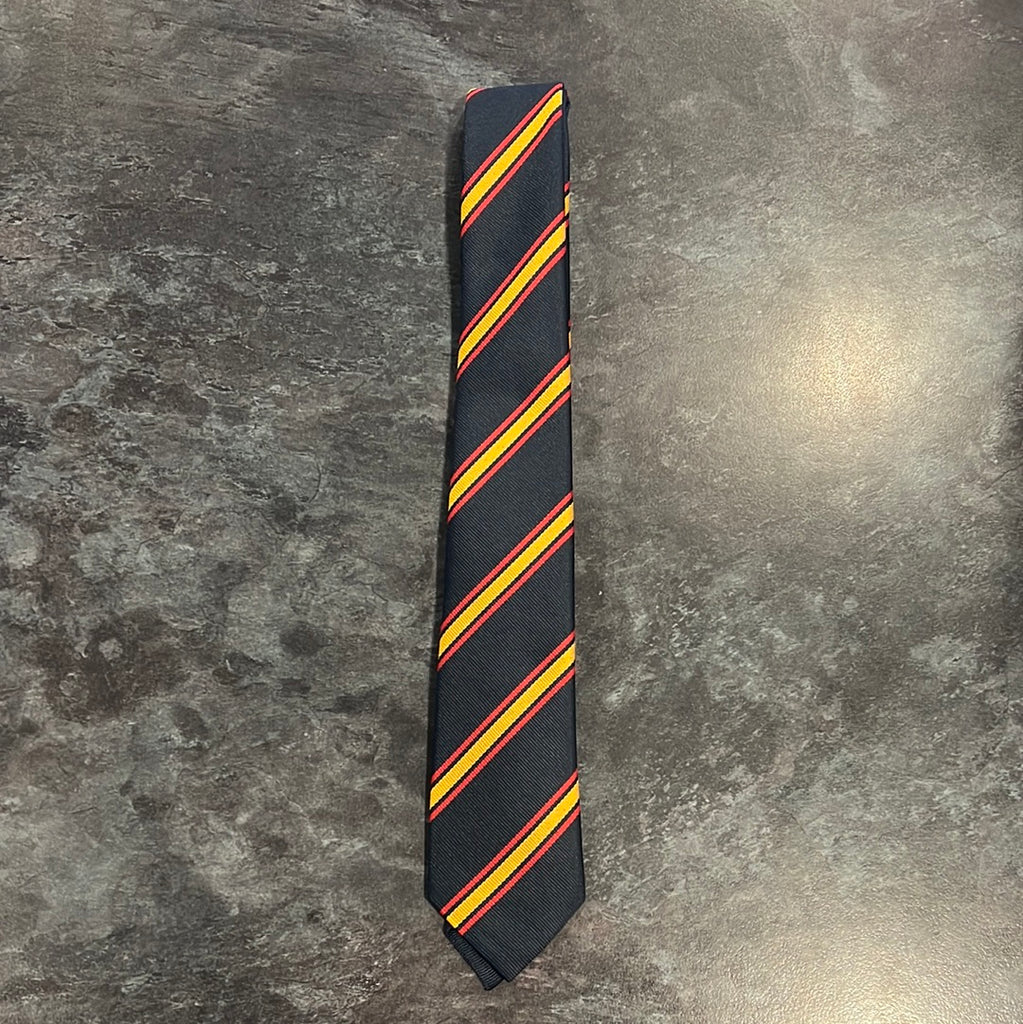 Brynteg Upper School Tie