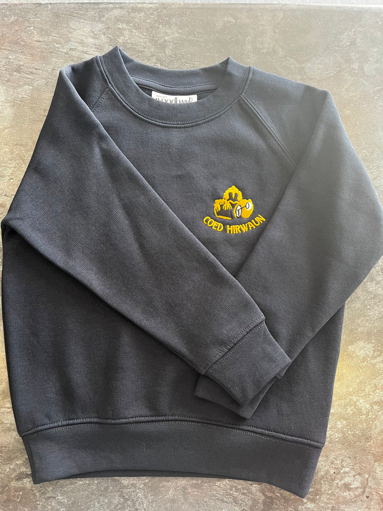 Coed Hirwaun Navy Sweatshirt