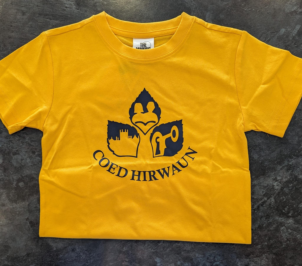 Coed Hirwaun PE T-Shirt