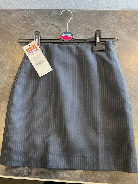 Navy Pinstripe Skirt