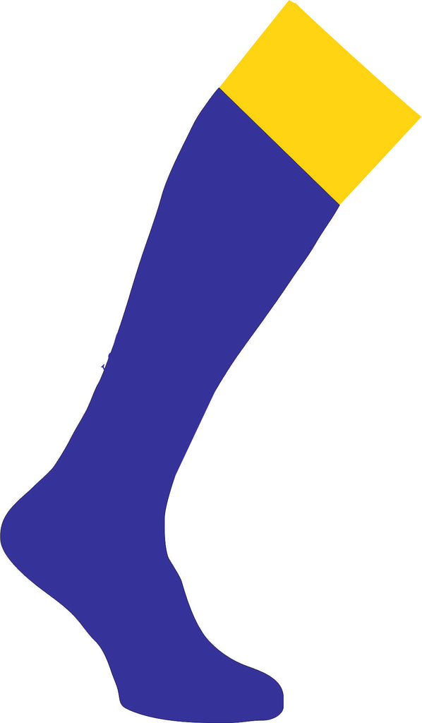 Brynteg Unisex Sports Socks